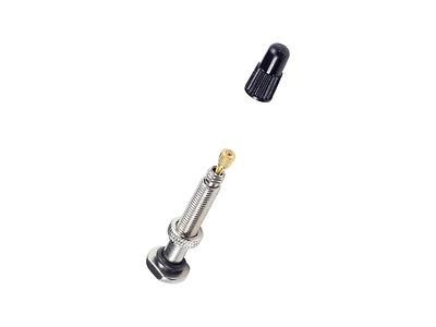 Bontrager Round Base TLR Valve Stem (Silver)