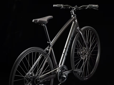 Trek FX 1 (Dnister Black)
