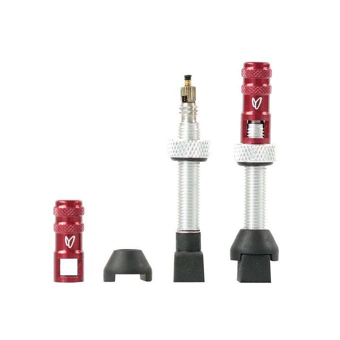 Effetto Mariposa Tubeless Valves (Silver) - Pack of 2
