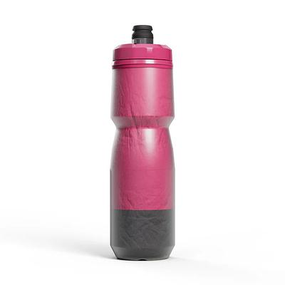 Camelbak Podium Chill Bottle (Mercury Berry)
