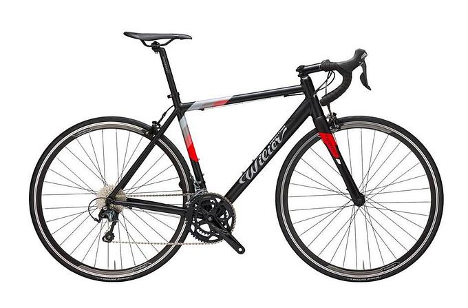 Wilier Montegrappa (Silver/Black)