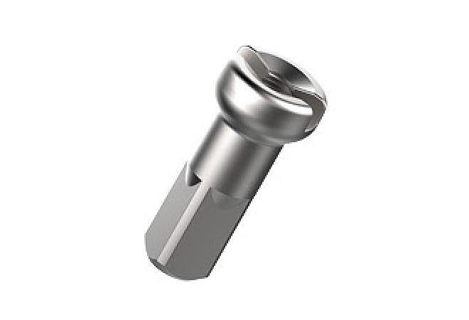Piller Spoke 14g Standard Nipples